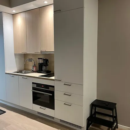 Appartamento Marinan Portin Svingi A23 Lemmikit Sallittu Kalajoki