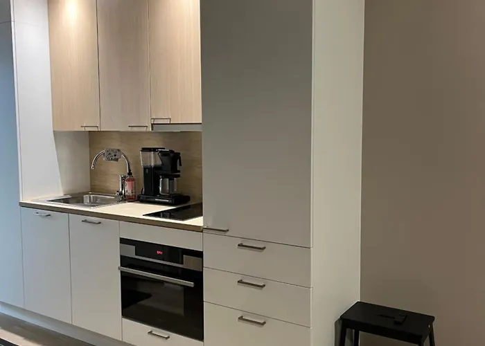 Appartement Marinan Portin Svingi A23 Lemmikit Sallittu Kalajoki